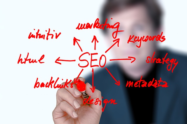 seo programátor a rozbor